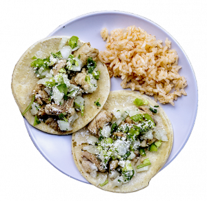 A plate of chicken tacos